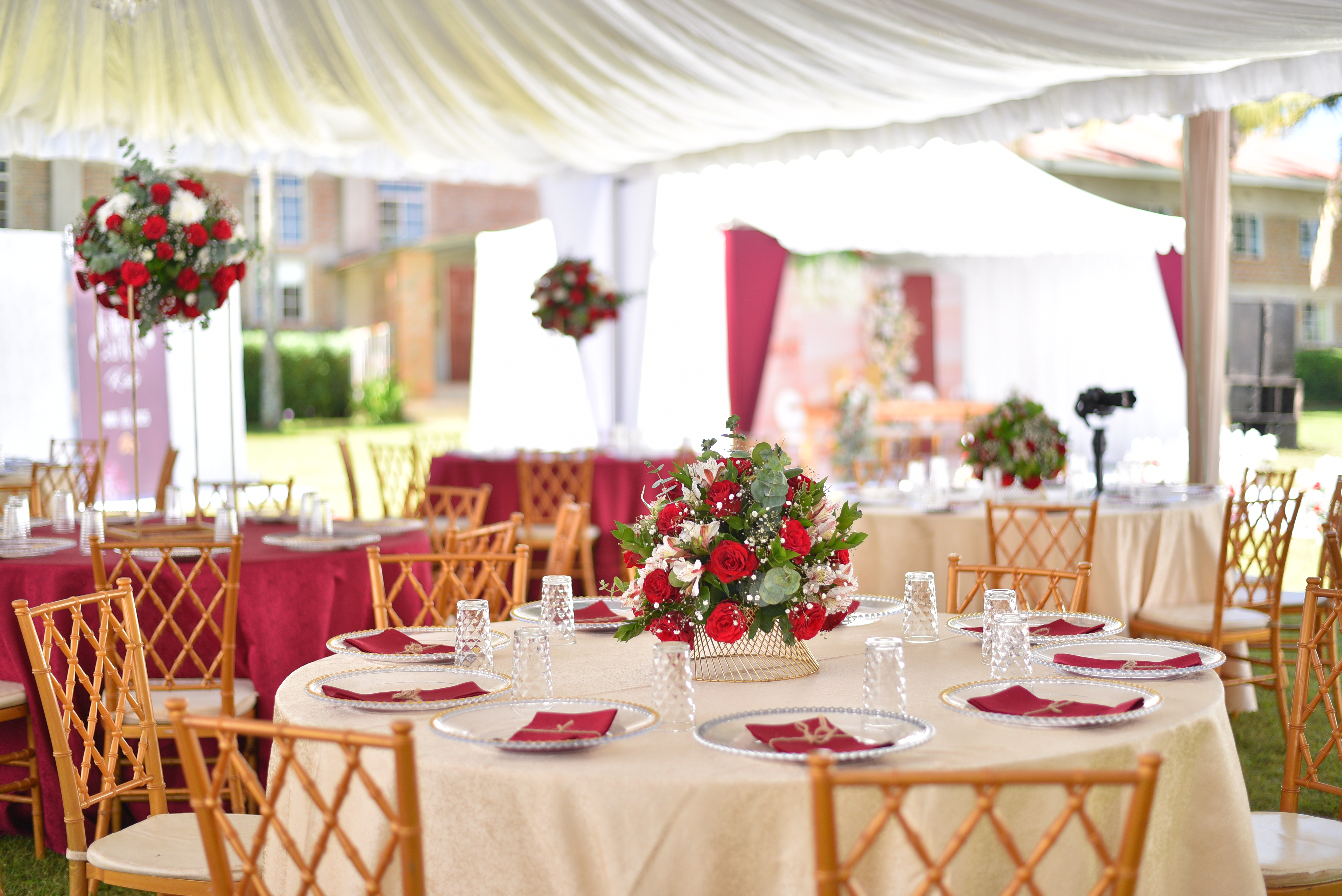 Gourmet Catering Display